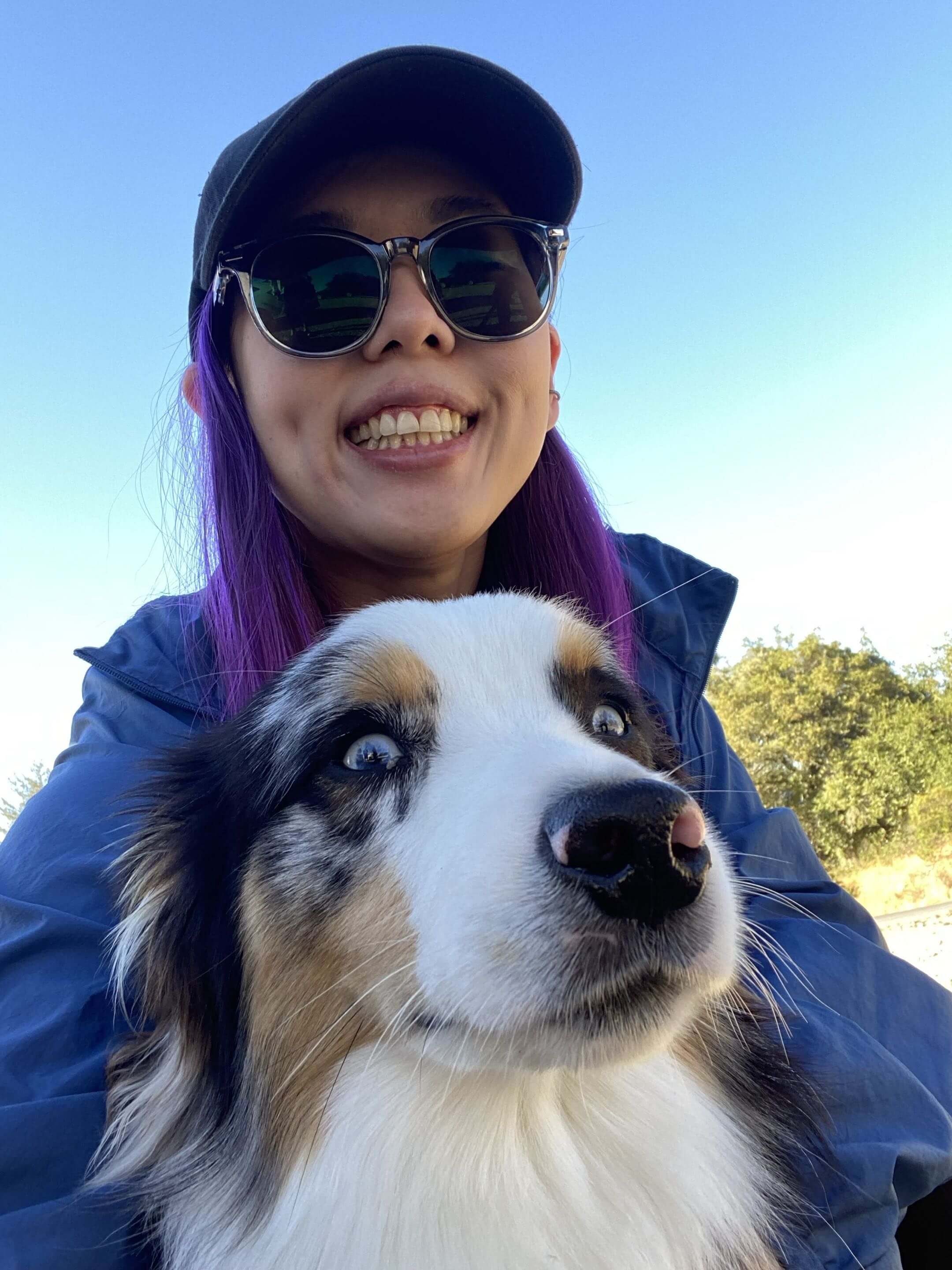 Happy dog being walked in San Francisco